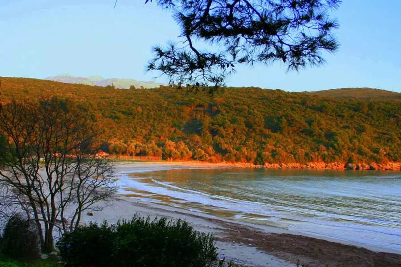 Plavi Horizonti