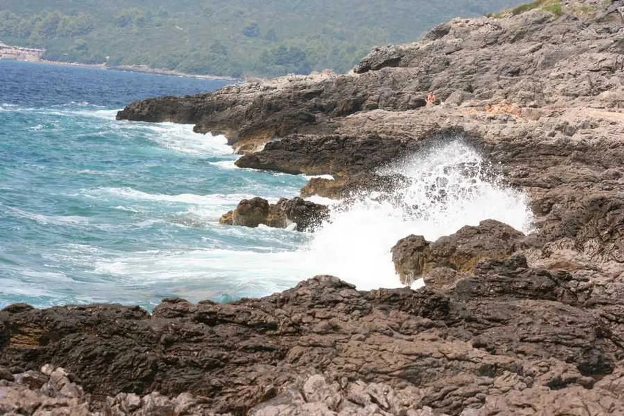 Plavi Horizonti