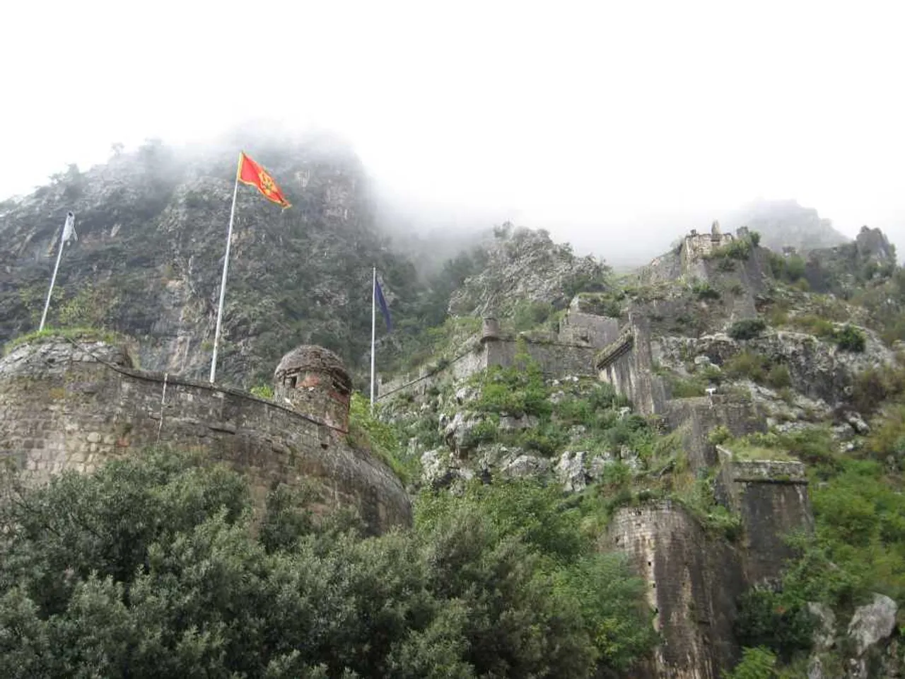 Kotor